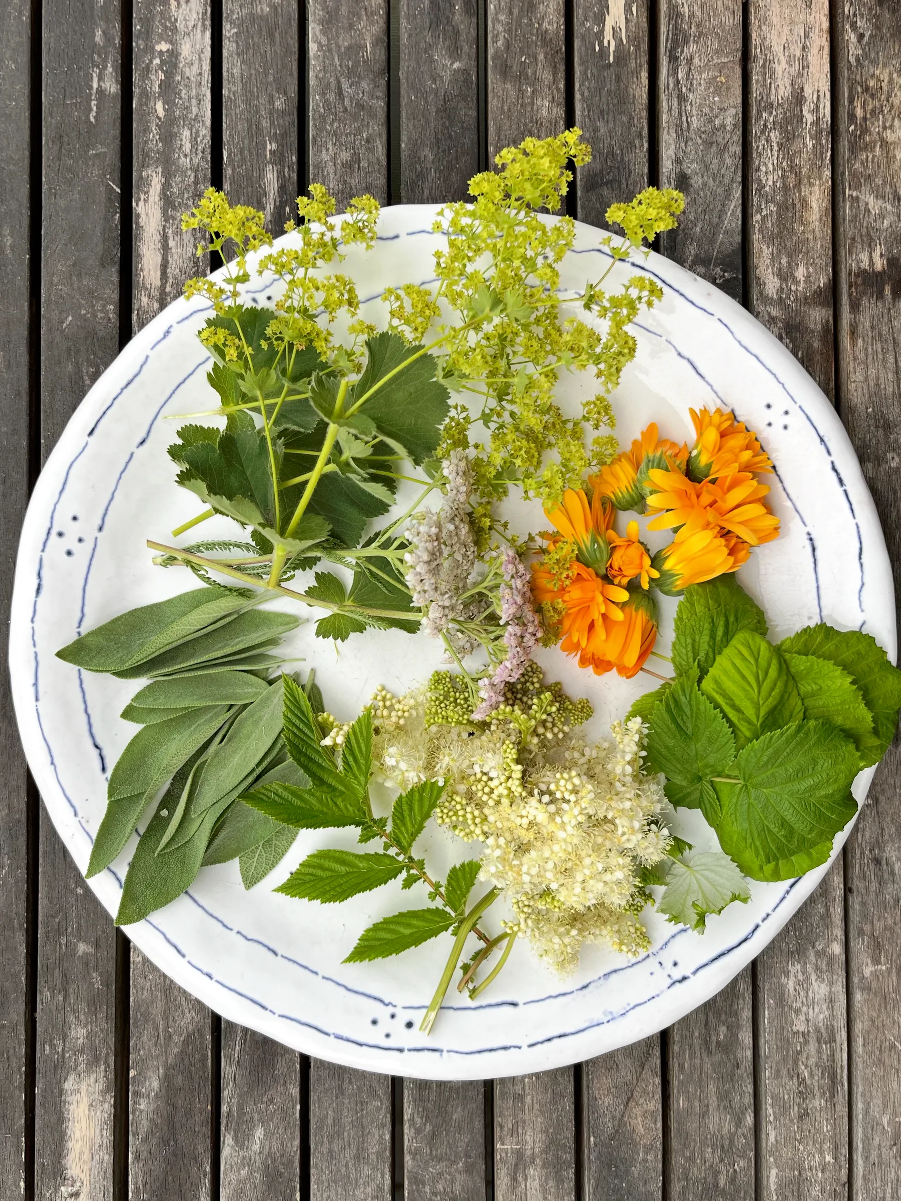 Kräuter Rezepte